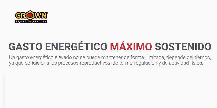 ¿CUÁL ES EL LÍMITE DE GASTO ENERGÉTICO SOSTENIDO POR EL HOMBRE?