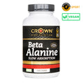 Beta Alanine Slow Absorption 120 tabs – main product image