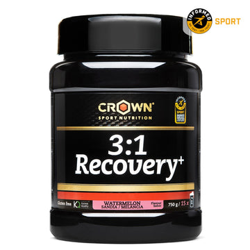 3:1 Recovery+ Muscle Recovery